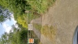 Thumbnail IMG_20180719_1303342.jpg 