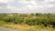 Thumbnail IMG_20180719_1421389.jpg 