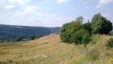 Thumbnail IMG_20180719_1507315.jpg 