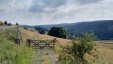 Thumbnail IMG_20180719_1507434.jpg 