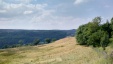 Thumbnail IMG_20180719_1507463.jpg 