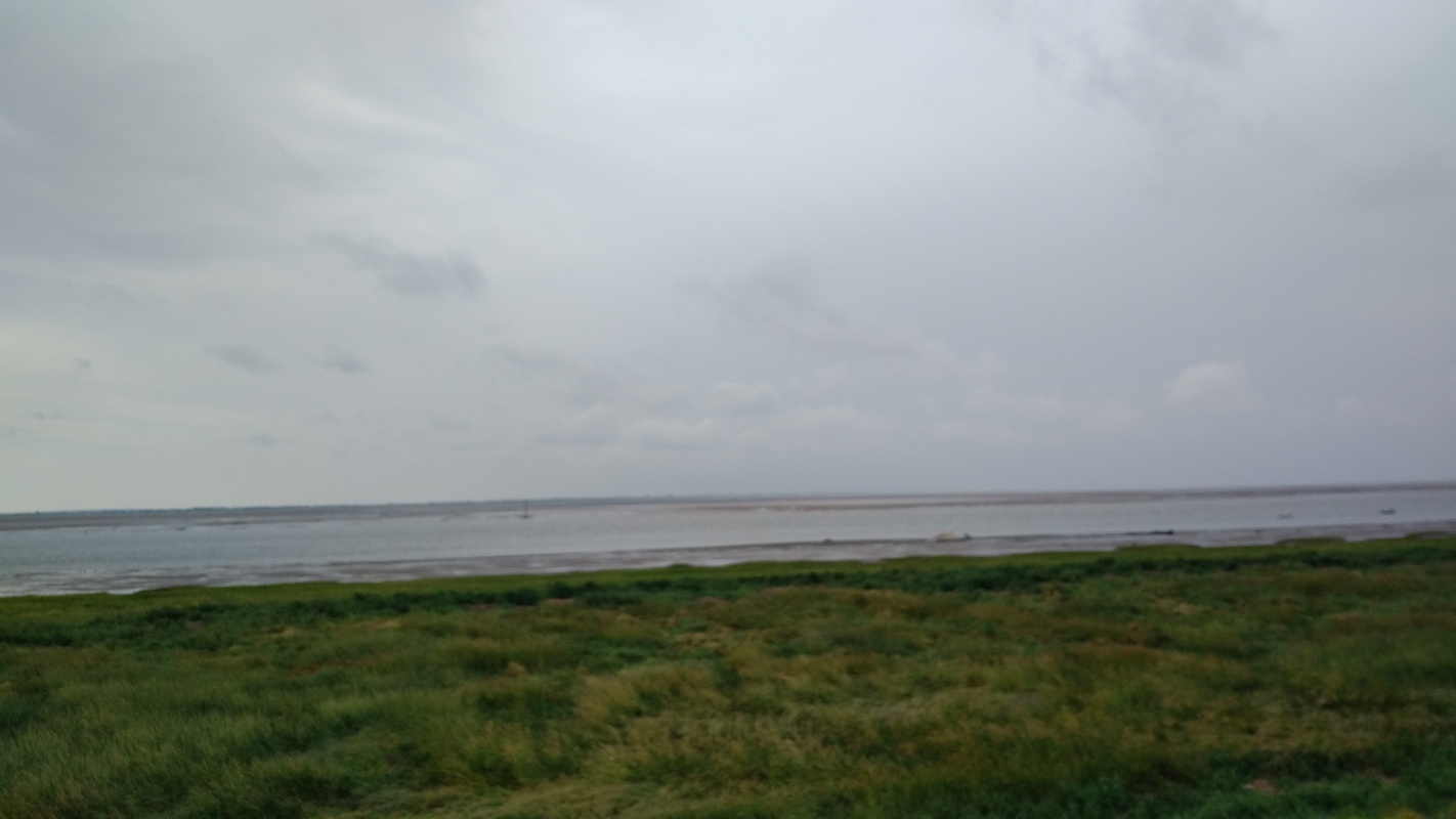 Scaled image IMG_20180720_0936137.jpg (193kB)