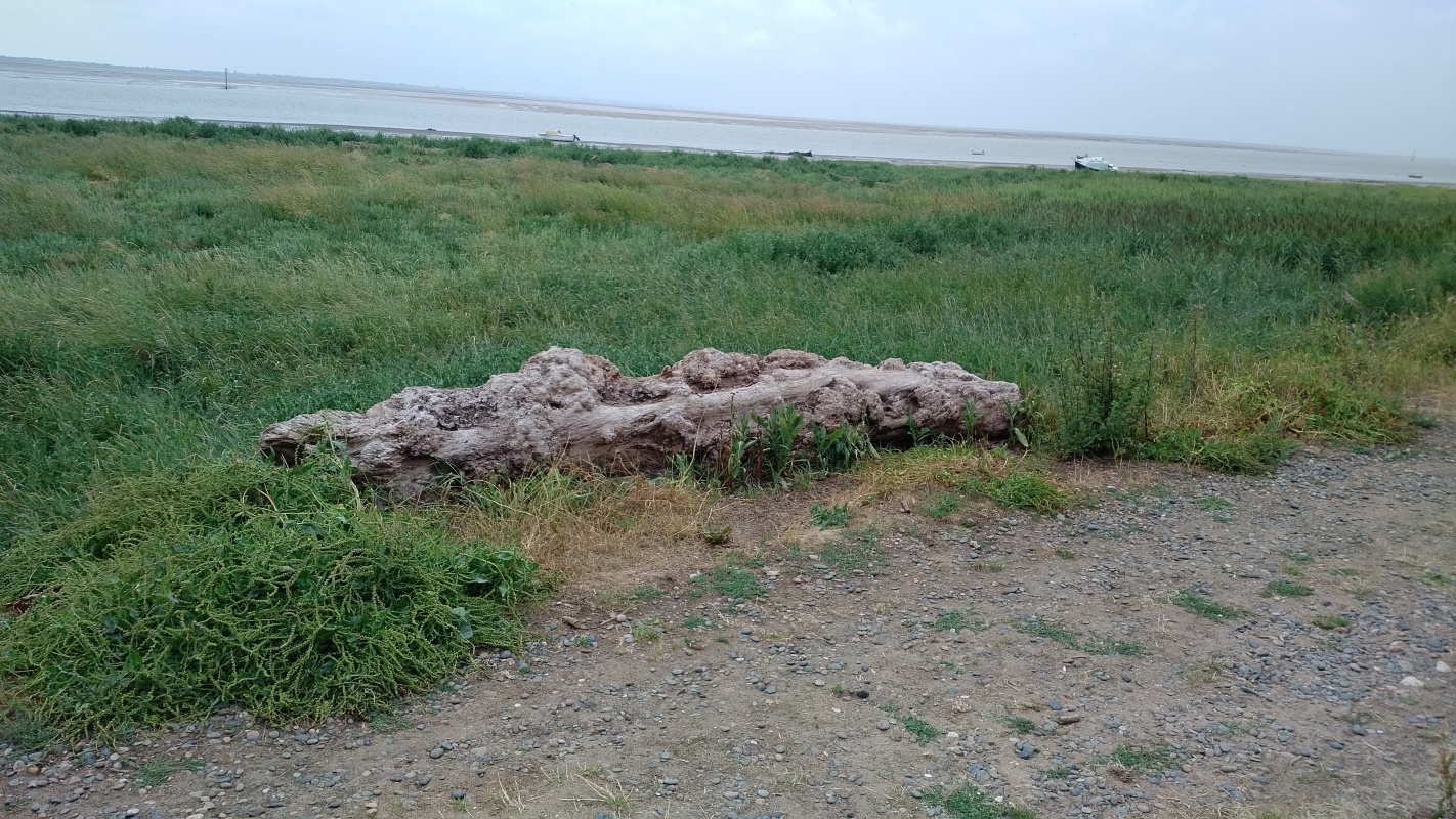 Scaled image IMG_20180720_0940070.jpg (625kB)