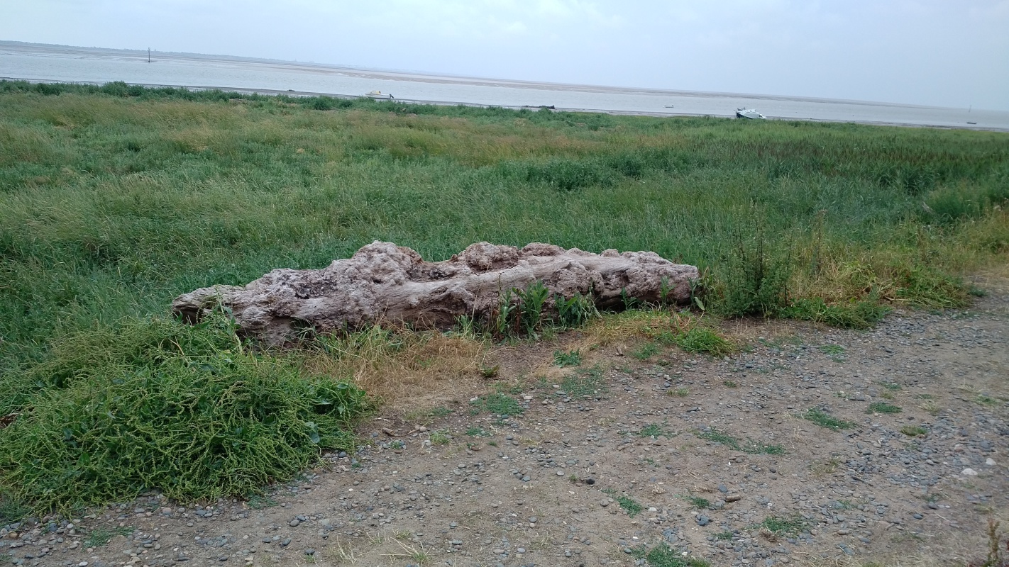 Scaled image IMG_20180720_0940079.jpg (624kB)