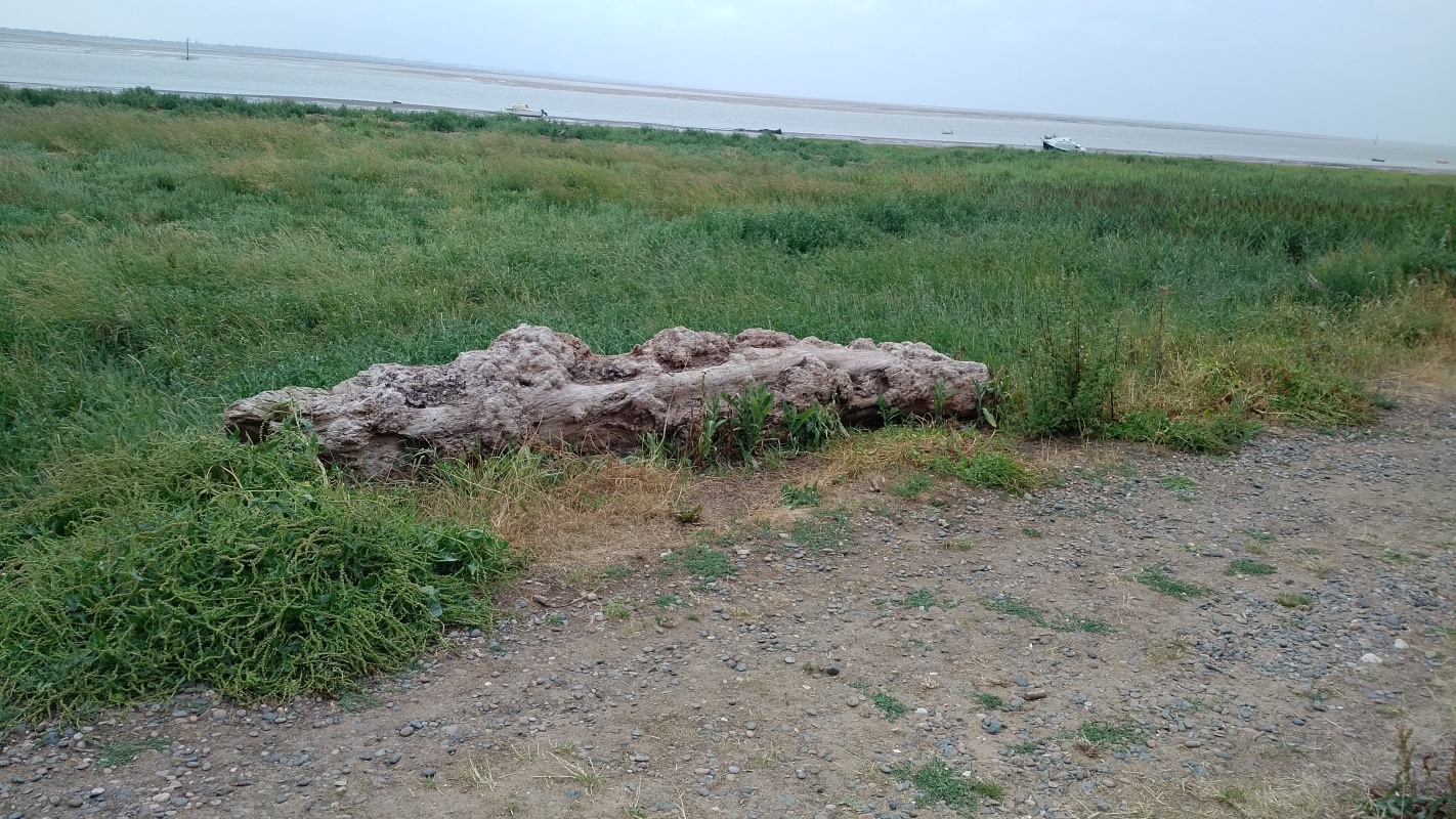 Scaled image IMG_20180720_0940097.jpg (648kB)