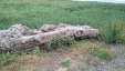 Thumbnail IMG_20180720_0939584.jpg 