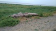 Thumbnail IMG_20180720_0940097.jpg 