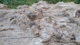 Thumbnail IMG_20180720_0940204.jpg 