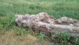 Thumbnail IMG_20180720_0940342.jpg 