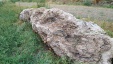 Thumbnail IMG_20180720_0940571.jpg 