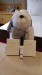 Thumbnail IMG_20180720_1459316.jpg 