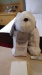 Thumbnail IMG_20180720_1459458.jpg 