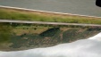 Thumbnail IMG_20180721_1332120.jpg 