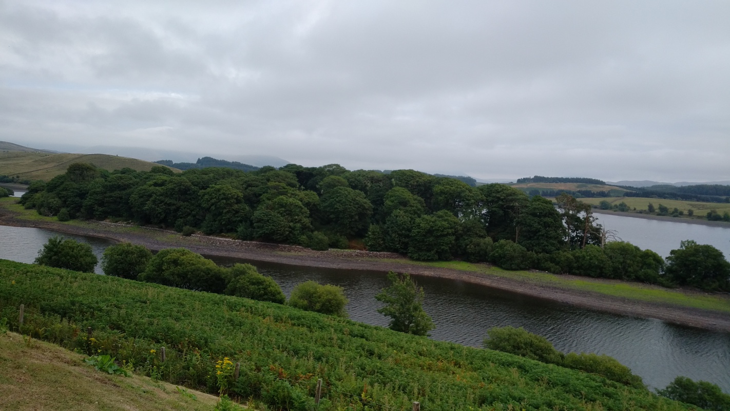 Scaled image IMG_20180722_1748227.jpg (373kB)