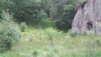 Thumbnail IMG_20180722_1229122.jpg 