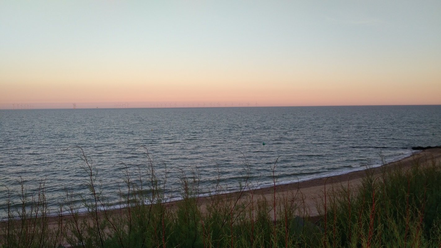 Scaled image IMG_20180723_2040523.jpg (355kB)