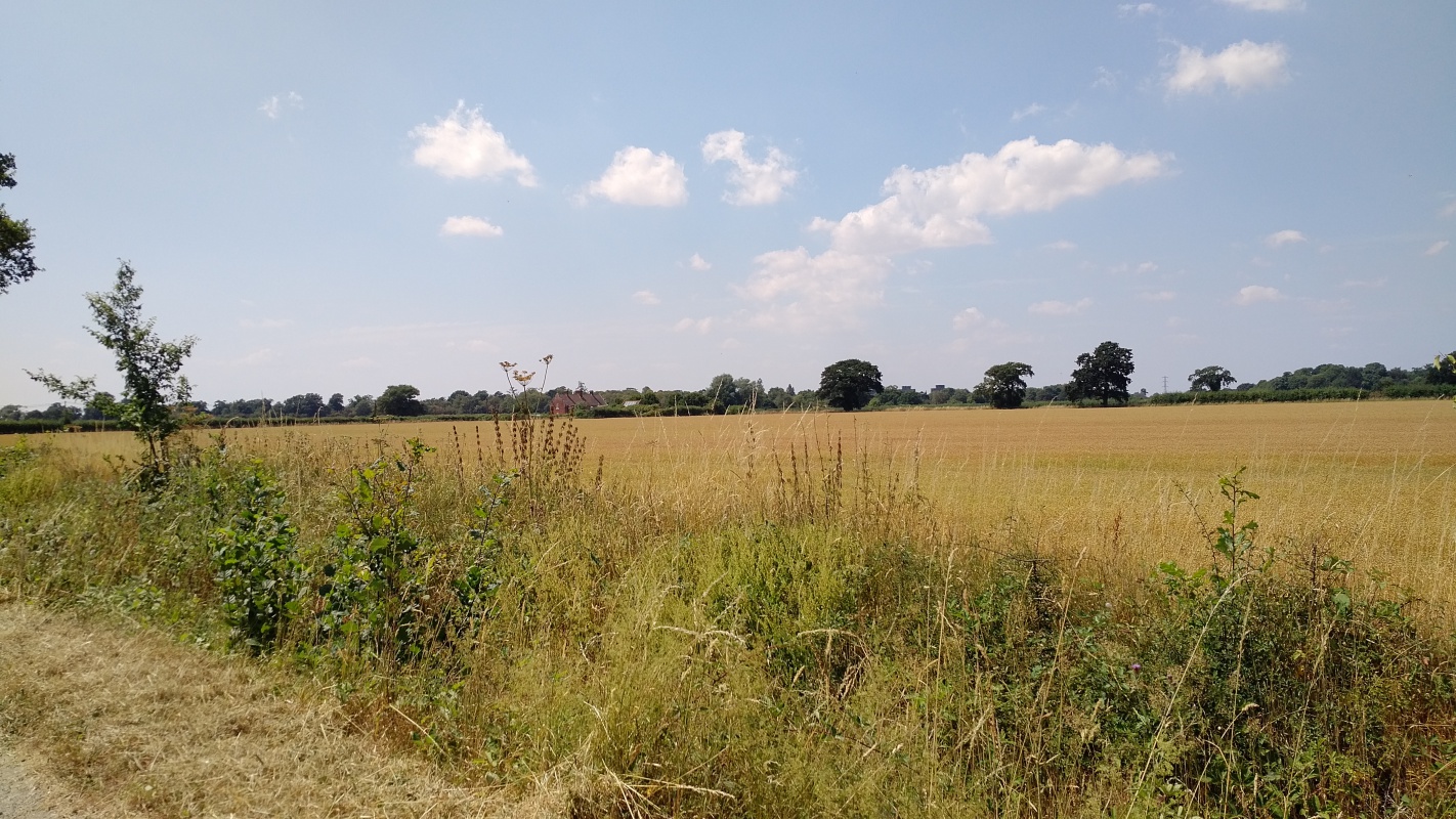 Scaled image IMG_20180724_1221591.jpg (511kB)