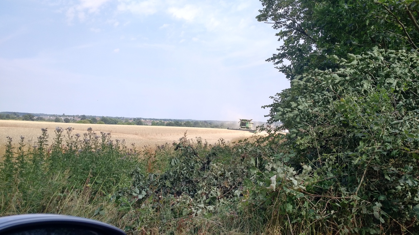 Scaled image IMG_20180725_1125542.jpg (534kB)