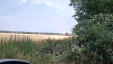 Thumbnail IMG_20180725_1125507.jpg 