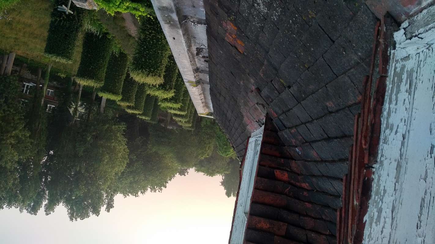 Scaled image IMG_20180726_0553544.jpg (483kB)