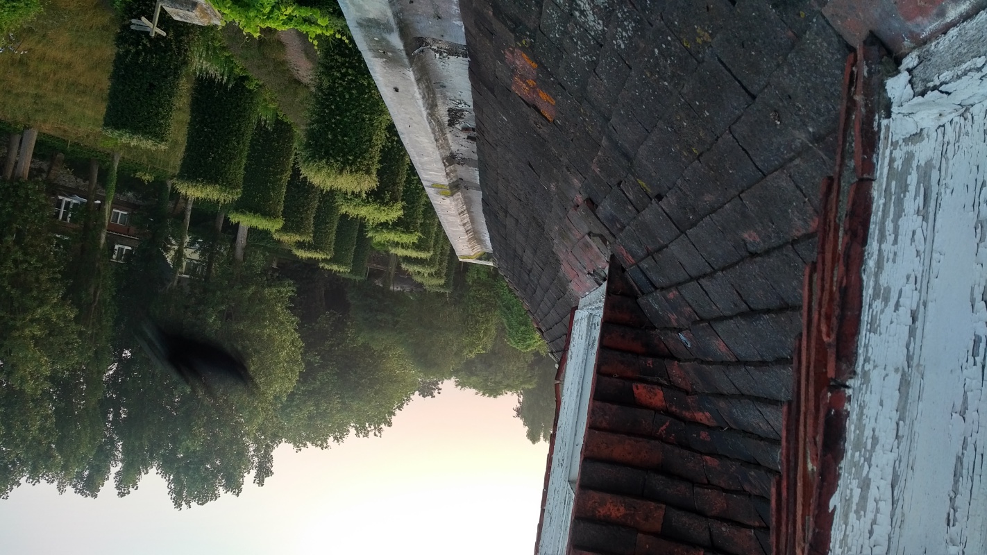 Scaled image IMG_20180726_0553569.jpg (497kB)