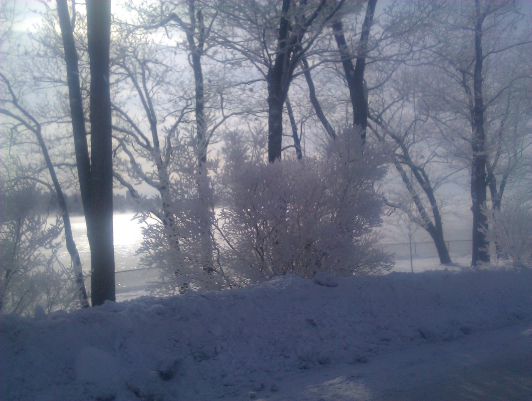 Scaled image IMG_20120116_123136.jpg (235kB)