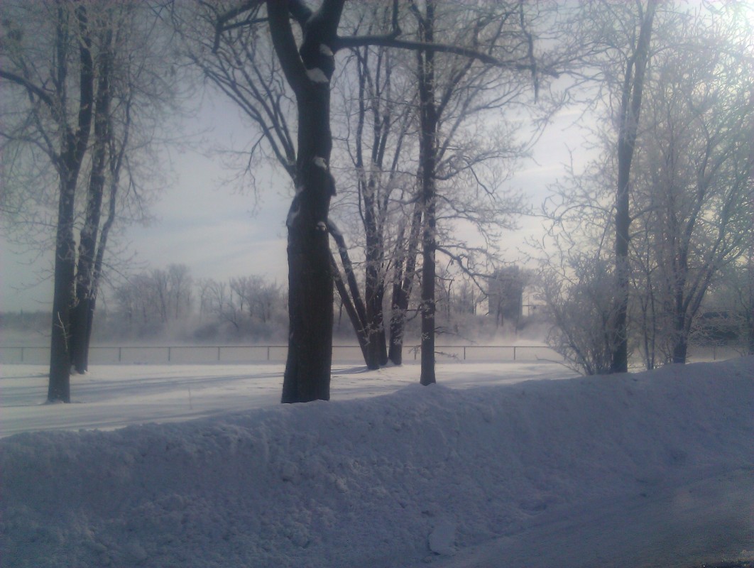 Scaled image IMG_20120116_123325.jpg (208kB)