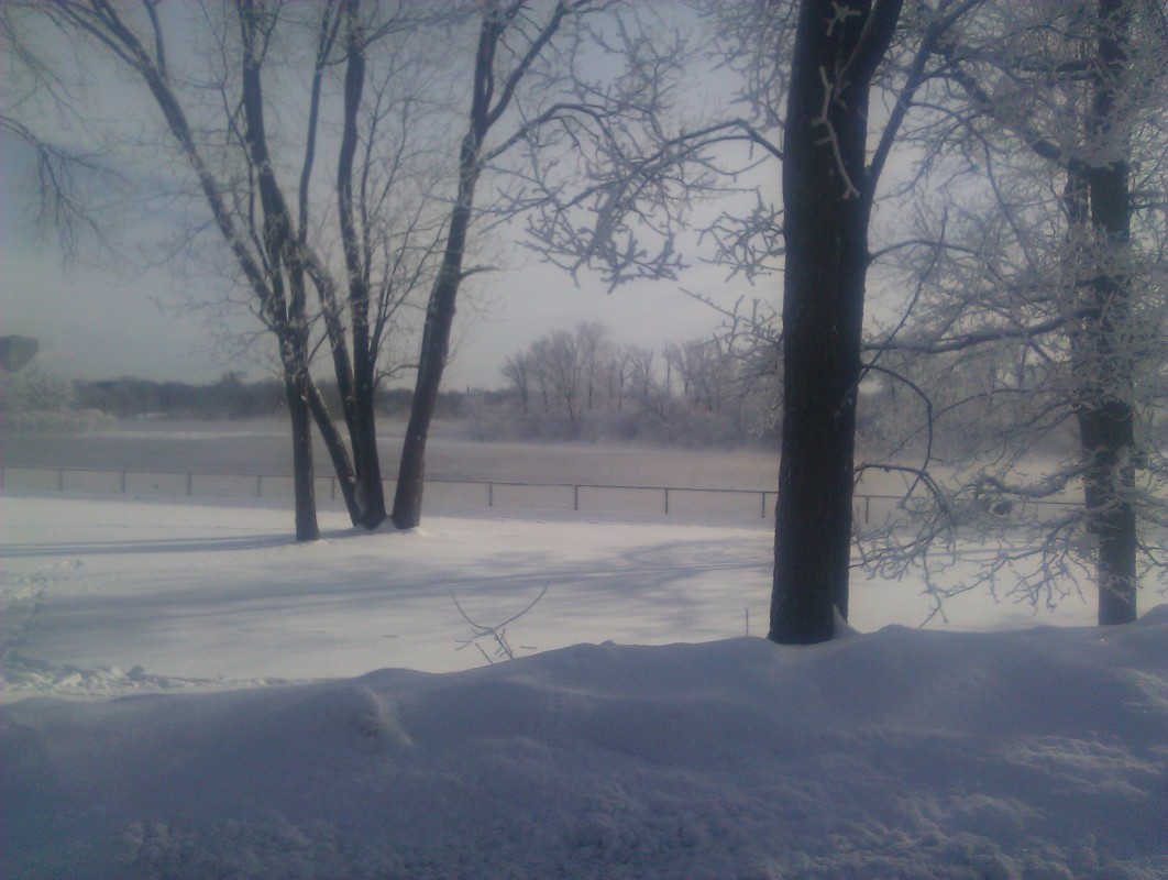 Scaled image IMG_20120116_123407.jpg (187kB)