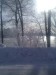 Thumbnail IMG_20120116_123127.jpg 