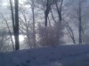 Thumbnail IMG_20120116_123136.jpg 