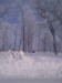 Thumbnail IMG_20120116_123229.jpg 