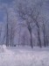 Thumbnail IMG_20120116_123232.jpg 