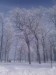 Thumbnail IMG_20120116_123237.jpg 