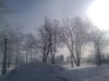 Thumbnail IMG_20120116_123255.jpg 