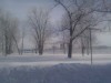 Thumbnail IMG_20120116_123321.jpg 