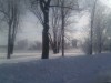Thumbnail IMG_20120116_123325.jpg 