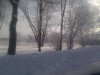 Thumbnail IMG_20120116_123337.jpg 