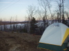 Thumbnail P4130019.JPG 
