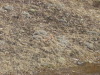Thumbnail P4140021.JPG 