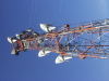 Thumbnail P4220005.JPG 