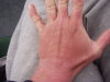 Thumbnail P4250013.JPG 