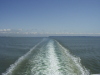 Thumbnail P4280017.JPG 