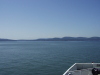 Thumbnail P4280019.JPG 