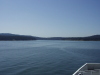 Thumbnail P4280020.JPG 