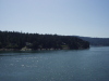 Thumbnail P4280022.JPG 