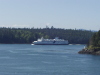 Thumbnail P4280024.JPG 