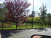 Thumbnail P5070001.JPG 
