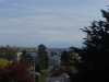 Thumbnail P5080004.JPG 