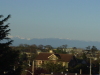Thumbnail P5100006.JPG 