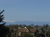 Thumbnail P5100008.JPG 